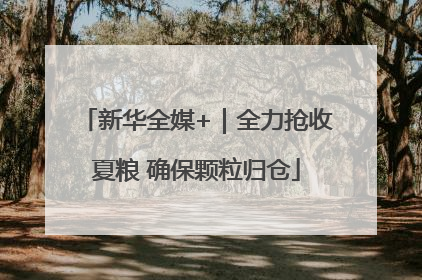 新华全媒+｜全力抢收夏粮 确保颗粒归仓