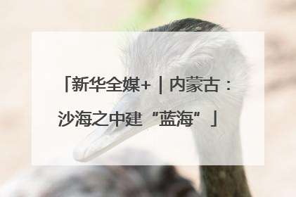 新华全媒+｜内蒙古：沙海之中建“蓝海”
