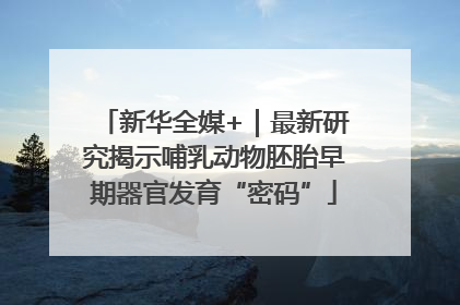 新华全媒+｜最新研究揭示哺乳动物胚胎早期器官发育“密码”