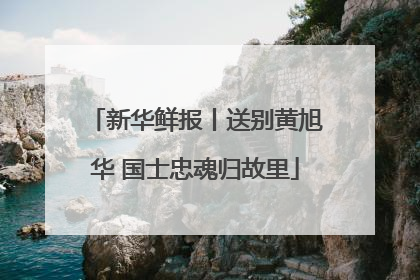 新华鲜报丨送别黄旭华 国士忠魂归故里