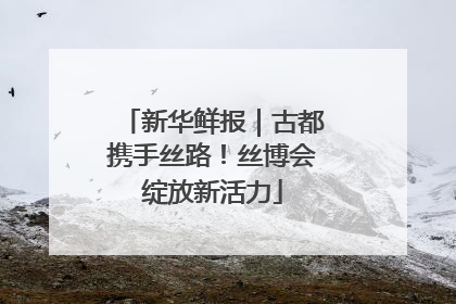 新华鲜报｜古都携手丝路！丝博会绽放新活力