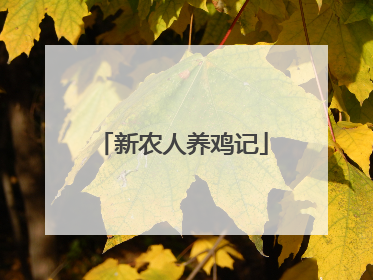 新农人养鸡记