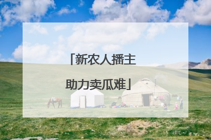 新农人播主 助力卖瓜难
