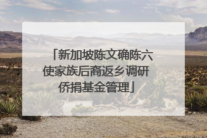 新加坡陈文确陈六使家族后裔返乡调研侨捐基金管理