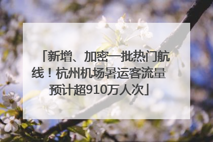 新增、加密一批热门航线！杭州机场暑运客流量预计超910万人次