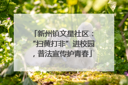 新州镇文星社区：“扫黄打非”进校园，普法宣传护青春