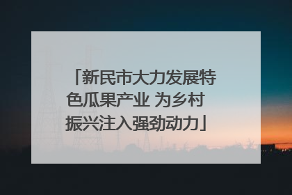新民市大力发展特色瓜果产业 为乡村振兴注入强劲动力