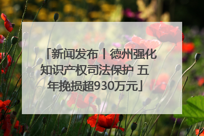 新闻发布丨德州强化知识产权司法保护 五年挽损超930万元