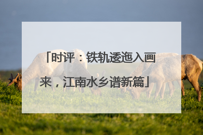 时评：铁轨逶迤入画来，江南水乡谱新篇