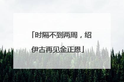 时隔不到两周，绍伊古再见金正恩