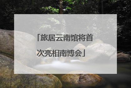 旅居云南馆将首次亮相南博会