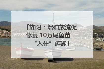 旌阳：增殖放流促修复 10万尾鱼苗“入住”旌湖