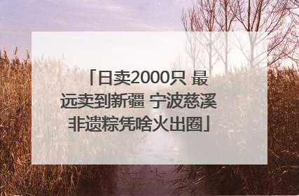 日卖2000只 最远卖到新疆 宁波慈溪非遗粽凭啥火出圈