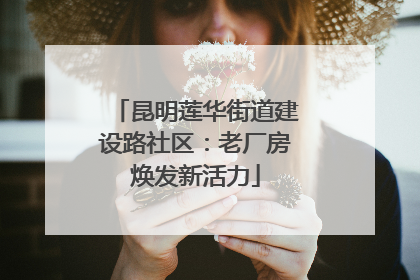 昆明莲华街道建设路社区：老厂房焕发新活力