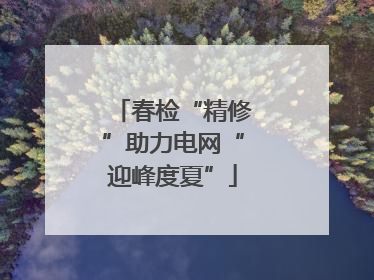 春检“精修”助力电网“迎峰度夏”