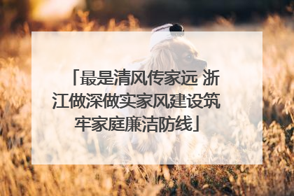 最是清风传家远 浙江做深做实家风建设筑牢家庭廉洁防线