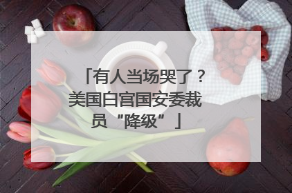 有人当场哭了？美国白宫国安委裁员“降级”