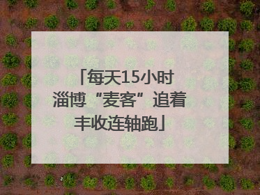 每天15小时 淄博“麦客”追着丰收连轴跑