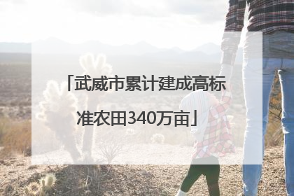 武威市累计建成高标准农田340万亩