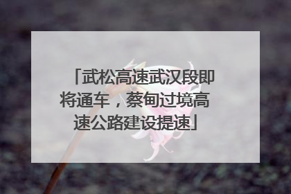 武松高速武汉段即将通车，蔡甸过境高速公路建设提速