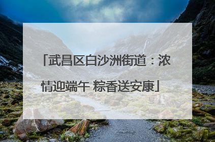 武昌区白沙洲街道：浓情迎端午 粽香送安康