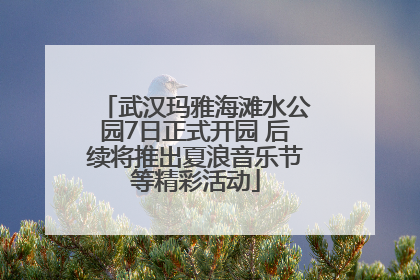 武汉玛雅海滩水公园7日正式开园 后续将推出夏浪音乐节等精彩活动