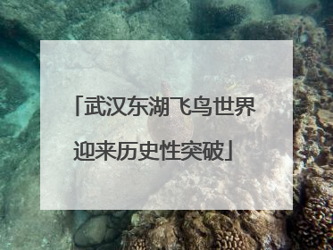 武汉东湖飞鸟世界迎来历史性突破