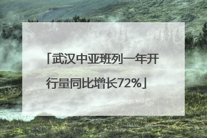 武汉中亚班列一年开行量同比增长72%