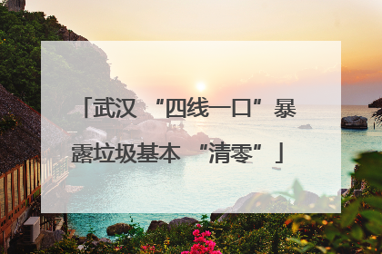 武汉 “四线一口”暴露垃圾基本 “清零”