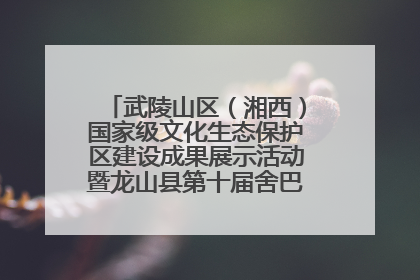武陵山区（湘西）国家级文化生态保护区建设成果展示活动暨龙山县第十届舍巴日即将启幕