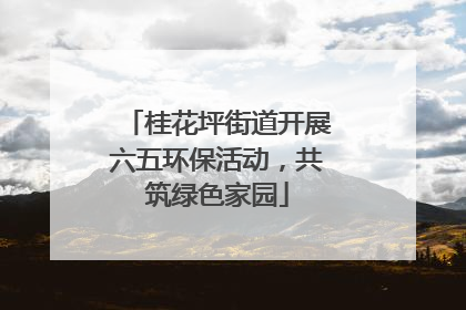 桂花坪街道开展六五环保活动，共筑绿色家园