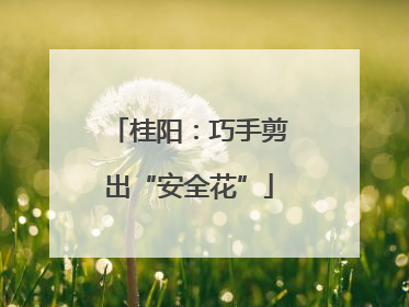桂阳：巧手剪出“安全花”