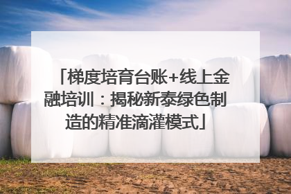 梯度培育台账+线上金融培训：揭秘新泰绿色制造的精准滴灌模式