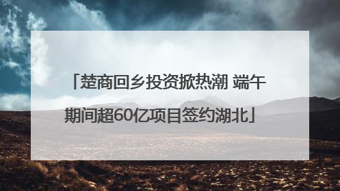 楚商回乡投资掀热潮 端午期间超60亿项目签约湖北