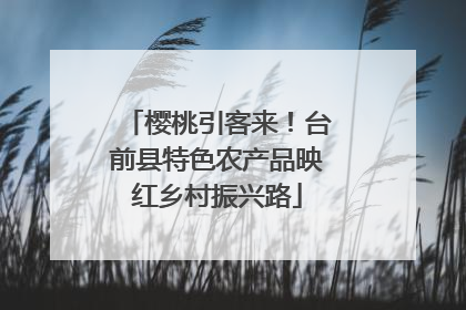 樱桃引客来！台前县特色农产品映红乡村振兴路