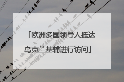 欧洲多国领导人抵达乌克兰基辅进行访问