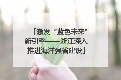 激发“蓝色未来”新引擎——浙江深入推进海洋强省建设