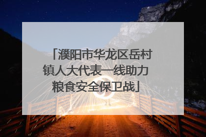 濮阳市华龙区岳村镇人大代表一线助力粮食安全保卫战