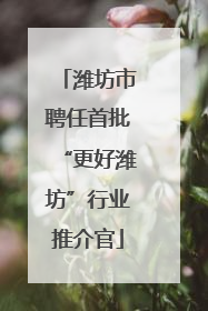 潍坊市聘任首批“更好潍坊”行业推介官