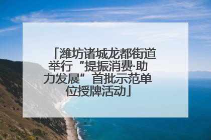 潍坊诸城龙都街道举行“提振消费·助力发展”首批示范单位授牌活动