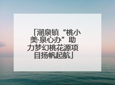 潮泉镇“桃小美·泉心办”助力梦幻桃花源项目扬帆起航