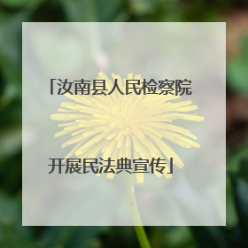 汝南县人民检察院开展民法典宣传
