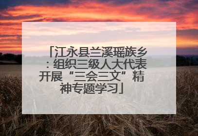 江永县兰溪瑶族乡：组织三级人大代表开展“三会三文”精神专题学习