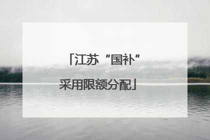 江苏“国补”采用限额分配