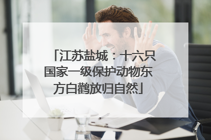 江苏盐城：十六只国家一级保护动物东方白鹳放归自然