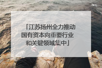 江苏扬州全力推动国有资本向重要行业和关键领域集中