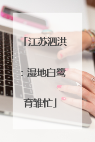 江苏泗洪：湿地白鹭育雏忙