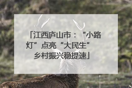 江西庐山市：“小路灯”点亮“大民生” 乡村振兴稳提速