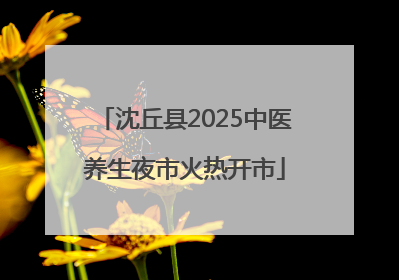 沈丘县2025中医养生夜市火热开市