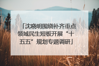 沈晓明围绕补齐重点领域民生短板开展“十五五”规划专题调研